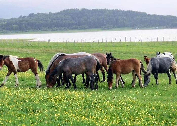 Къщи За Гости 招待所 *